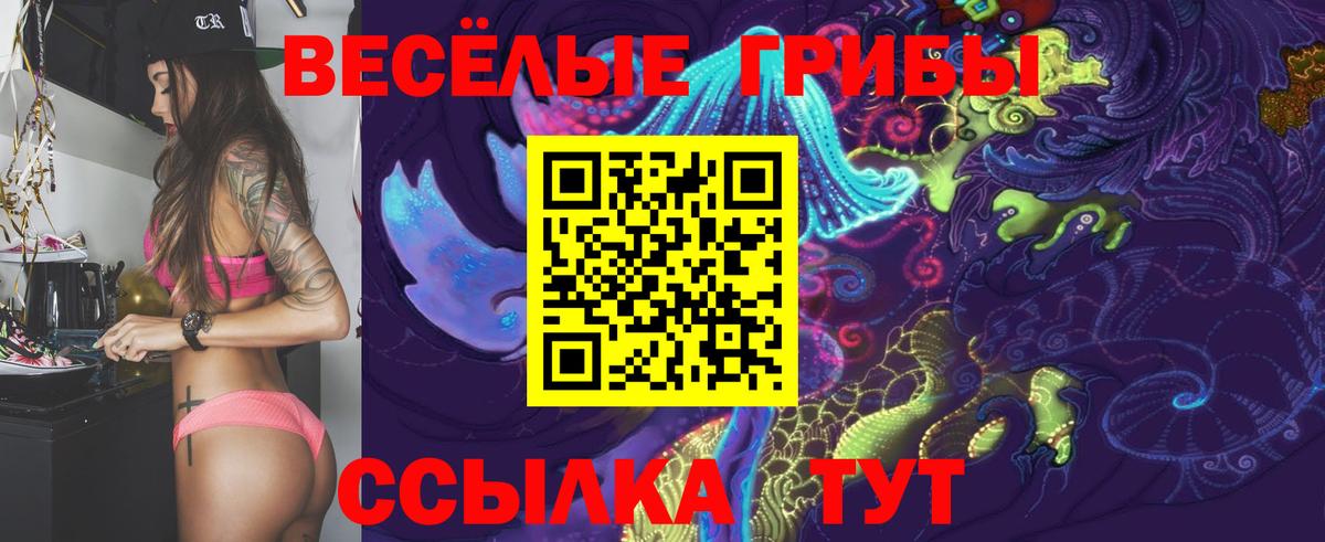 Галлюциногенные грибы GOLDEN TEACHER  Вход с VPN  сколько стоит  Железноводск 